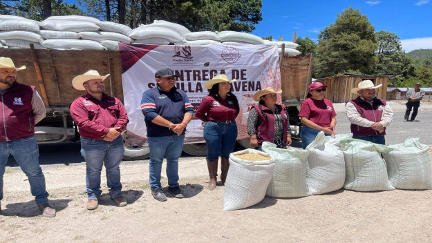 El municipio de Pueblo Nuevo Fortalece el campo con la entrega de 30 toneladas de semilla de avena en Los Mimbres de Milpillas.